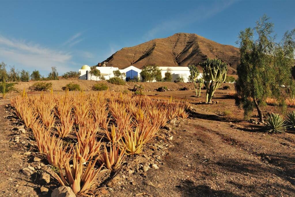 Tranquila Tierra - Eco Retreat Finca Artis Tirma Тарахалехо Екстериор снимка